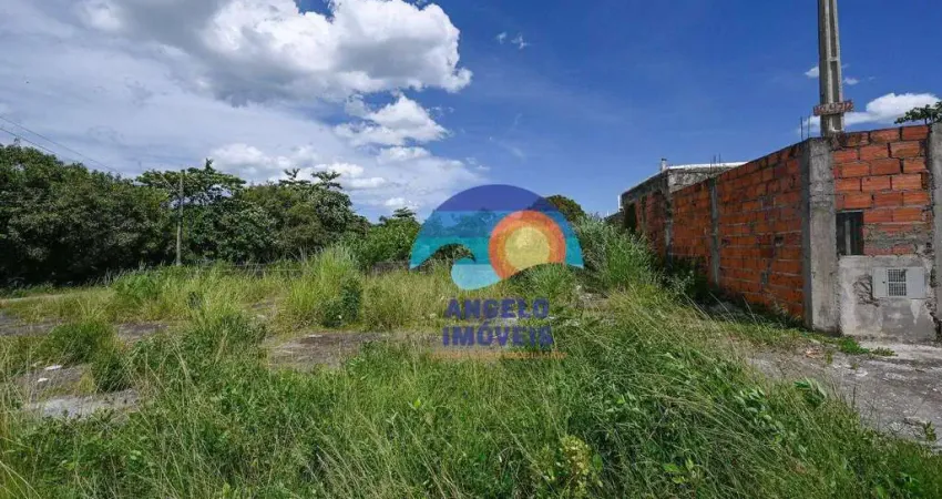 Terreno à venda, 305 m² por R$ 160.000,00 - Estância Balneária Maria Helena Novaes - Peruíbe/SP
