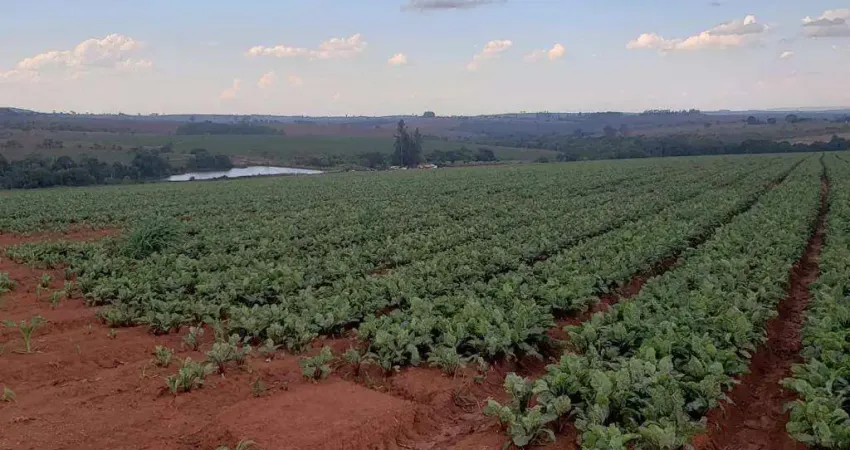 Excelente fazenda para plantio em Perdizes - MG! Excelente altitude e alto teor de argila para plantio de HF.