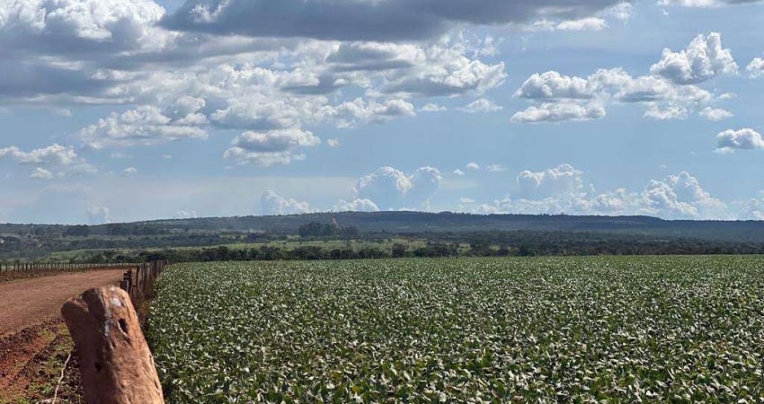 Fazenda em Cristalina