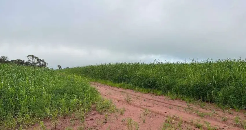 Excelente fazenda próxima a Uberlândia, dupla aptidão.