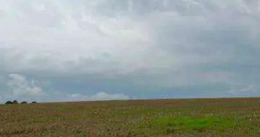 Chácara / sítio à venda na FAZ RURAL, Área Rural de Catalão, Catalão