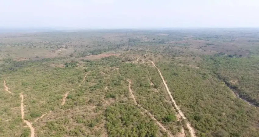 Fazenda de dupla aptidão á venda na região de Damianópolis-GO