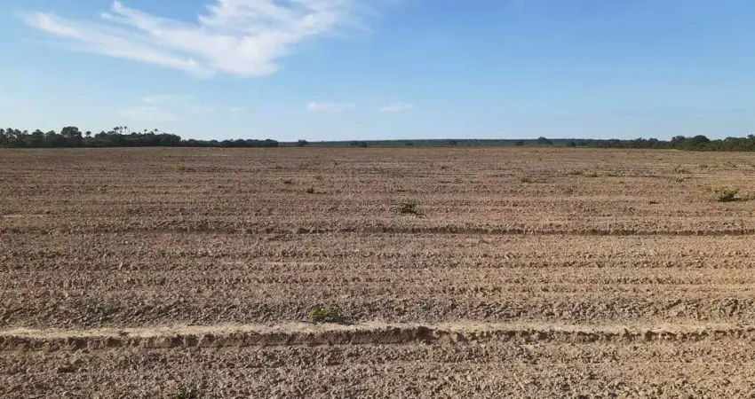 Fazenda Excepcional em Chapada Gaúcha- MG