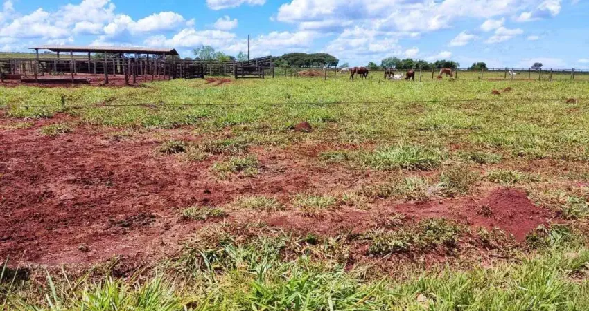 Fazenda de Dupla Aptidão em Campo Grande, MS - 2000 Hectares de Oportunidade!