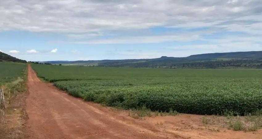 Fazenda Produtora de Grãos em Caiapônia-GO: Oportunidade Única!