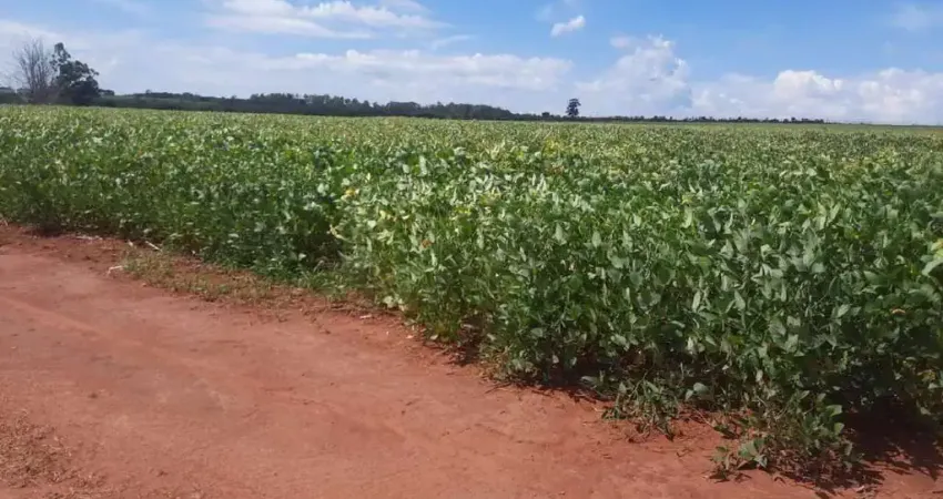 Fazenda de 900 Hectares em Uberlândia-MG: Oportunidade Única no Agronegócio!