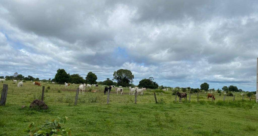 Incrível Oportunidade: Fazenda de 20.000 Hectares em Cocalinho - MT - Dupla Aptidão e Infraestrutura Completa!