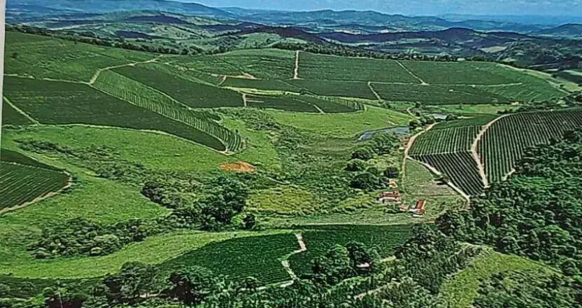 Viva o sonho do café: Torne-se dono de uma fazenda de sucesso em Santo Antônio do Amparo-MG