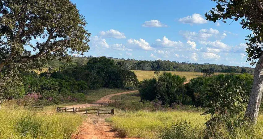 Explore uma Grande Oportunidade: fazenda Espetacular à venda em General Carneiro - MT