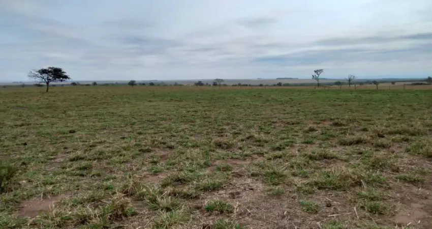 Explore Novos Horizontes: Fazenda Excepcional à Venda em Cocalinho-MT
