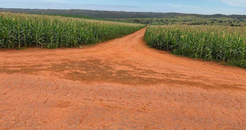 Excelente fazenda localizada no município de Campo Alegre-Go