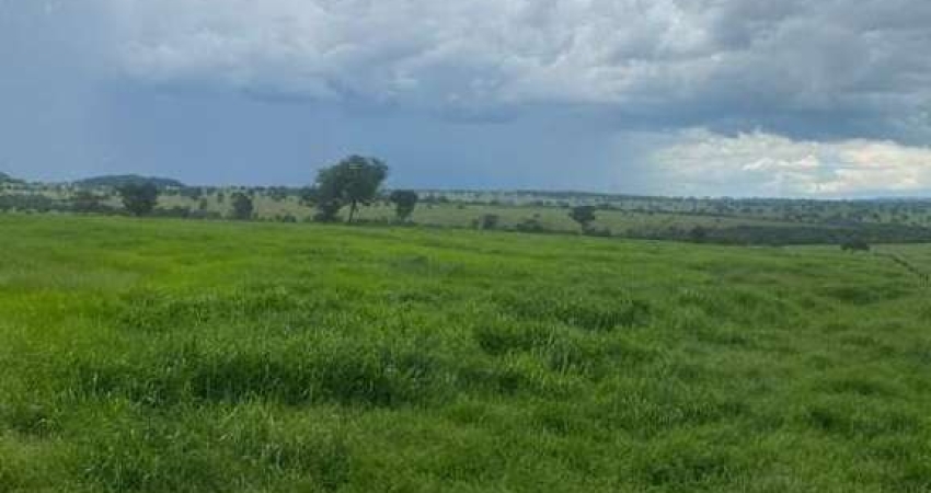 Fazenda na Área Rural de Itarumã - GO
