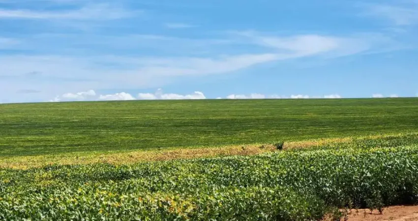 Chácara / sítio à venda na Área Rural de Cristalina, Zona Rural, Cristalina