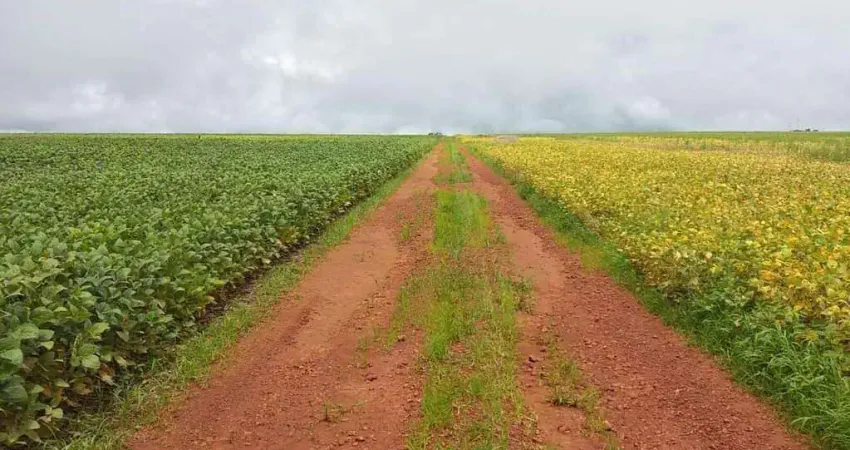 Chácara / sítio à venda na Área Rural de Água Fria, Zona Rural, Água Fria de Goiás