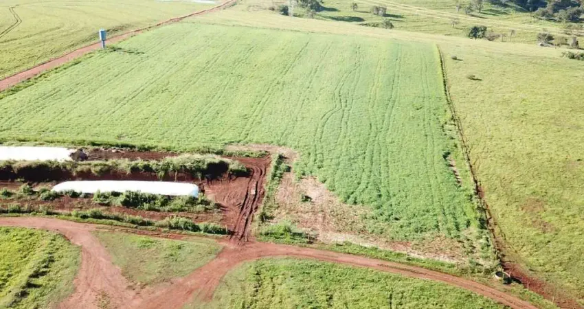 Chácara / sítio à venda na Área Rural, Área Rural de Uberlândia, Uberlândia