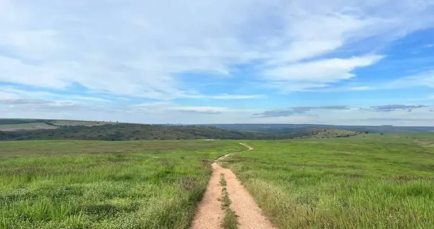 Chácara / sítio à venda na Área Rural de Campo Alegre, Zona Rural, Campo Alegre de Goiás