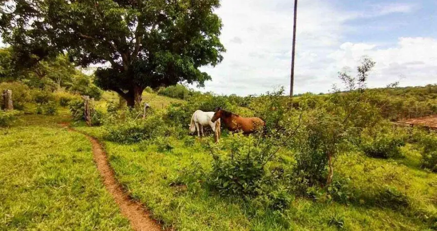 Chácara / sítio à venda na Área Rural, Área Rural de Uberlândia, Uberlândia