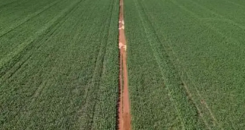 Chácara / sítio à venda na Área Rural, Zona Rural, Sinop