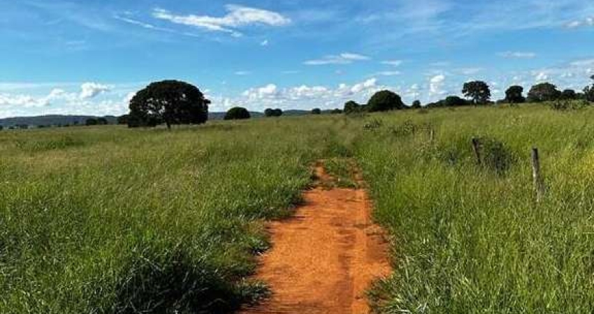 Chácara / sítio à venda na Área Rural de João Pinheiro, Zona Rural, João Pinheiro