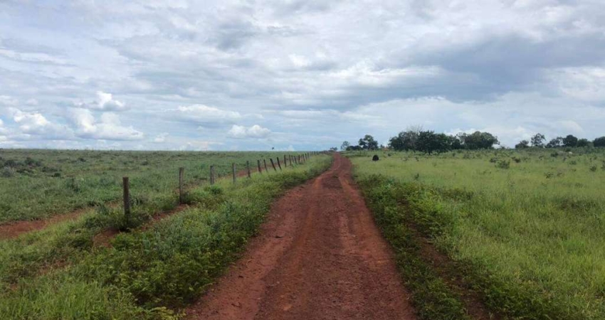 Chácara / sítio à venda na Entre Quirinópolis e Paranaiguara, Zona Rural, Paranaiguara