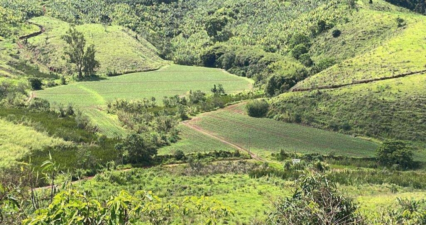 Chácara / sítio à venda na Área Rural de Cidade de Pedralva, Zona Rural, Pedralva