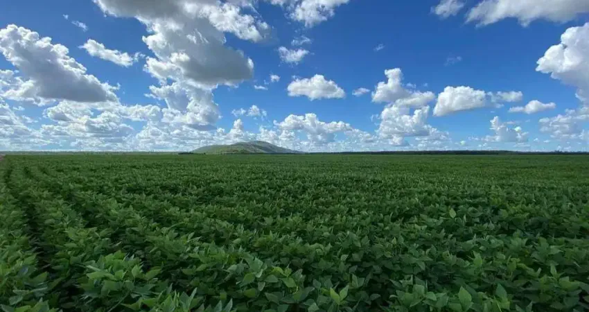 Chácara / sítio à venda na Área Rural, Área Rural de Boa Vista, Boa Vista