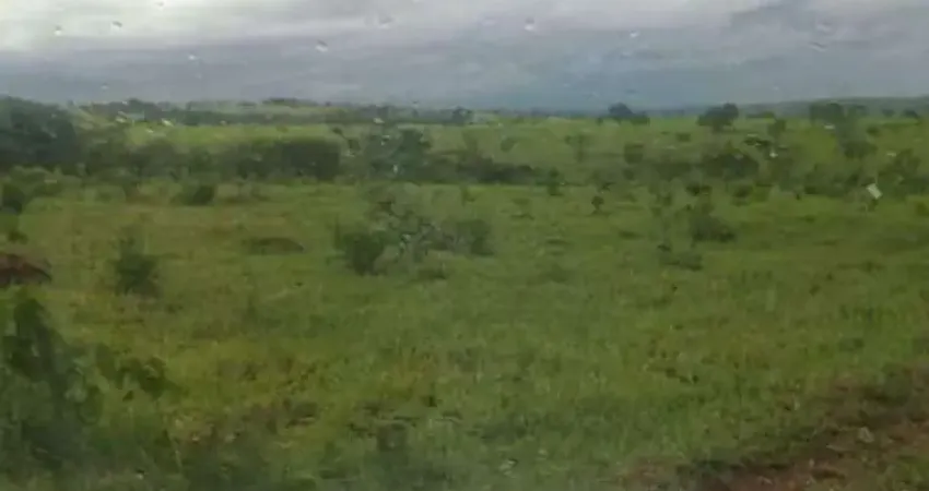 Chácara / sítio à venda na Área Rural, Área Rural de Catalão, Catalão