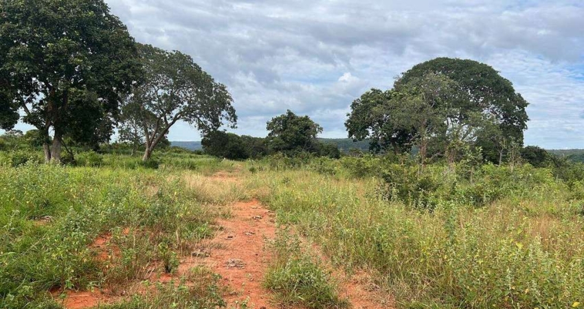Chácara / sítio à venda na Área Rural de João Pinheiro, Zona Rural, João Pinheiro
