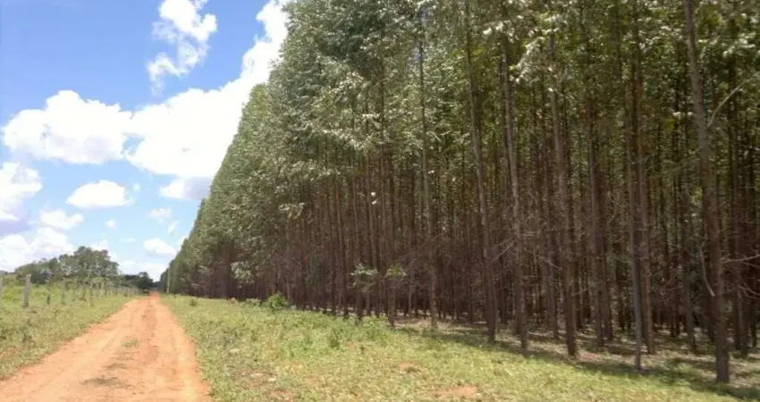 Chácara / sítio com 1 quarto à venda na Área Rural, Zona Rural, Unaí