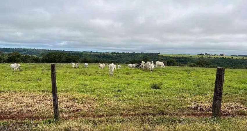 Chácara / sítio à venda na Área Rural, Área Rural de Uberlândia, Uberlândia