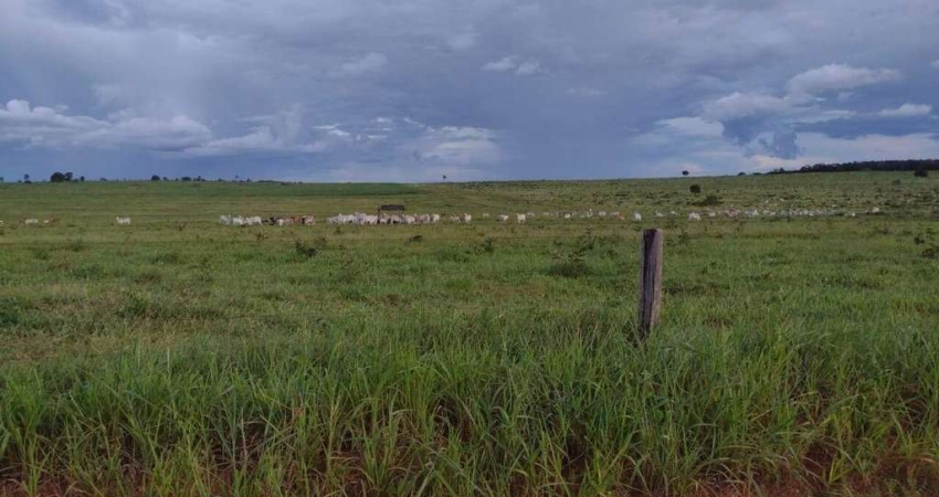 Fazenda no Município de Tesouro - MT