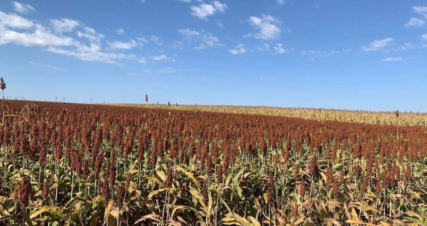 Chácara / sítio à venda na Fazenda em Quirinópolis, Zona Rural, Quirinópolis