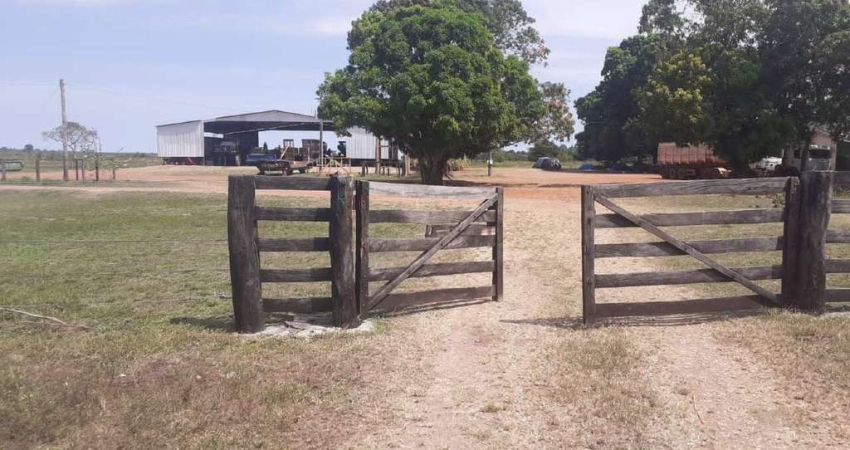 Fazenda à venda, Área Rural Vale do Araguaia - ARAGUAINA/TO