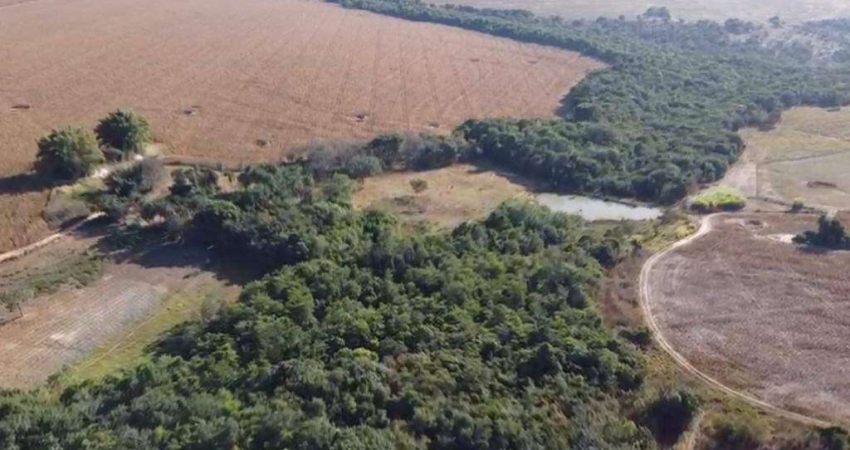 Fazenda à venda, Área Rural de Cristianopolis - Cristianópolis/GO
