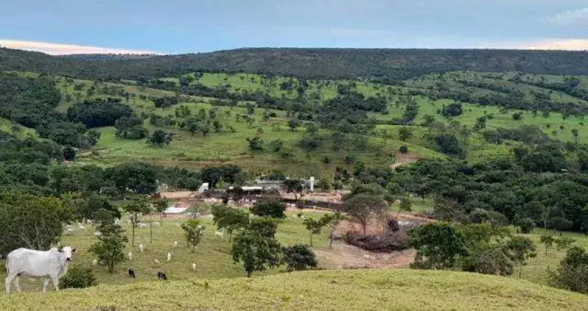 Fazenda à venda, Área Rural de Ipameri - IPAMERI/GO