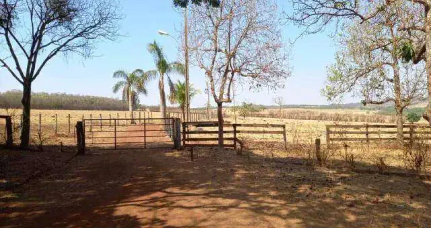 Fazenda à venda, ÁREA RURAL DE UBERLÂNDIA - Uberlândia/MG