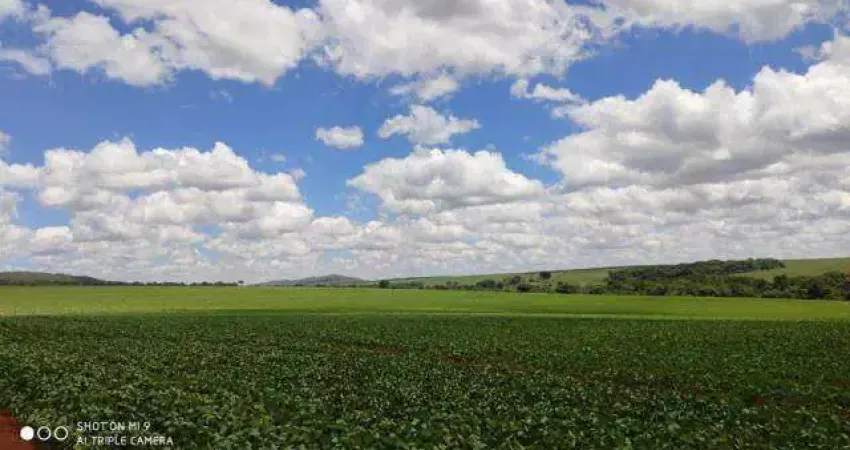 Fazenda à venda, Area rural de catalao - CATALAO/GO
