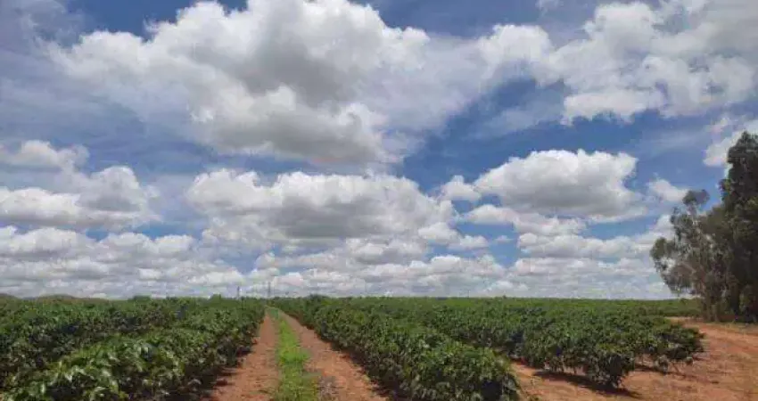 Chácara / sítio à venda na FAZ ARAXA, Área Rural de Araxá, Araxá