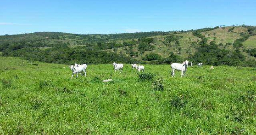 Fazenda à venda, Area rural de corumbaiba - CORUMBAIBA/GO