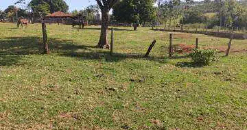Fazenda à venda, Area rural de Gurinhata - GURINHATA/MG