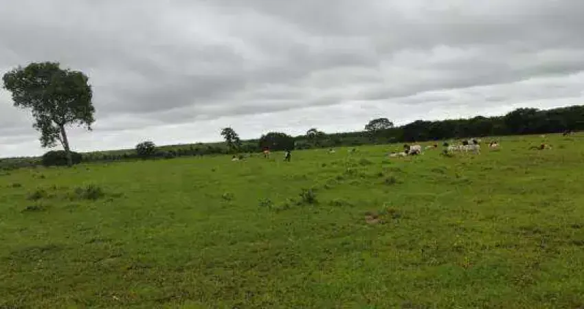 Chácara / sítio à venda na RUA MUNICÍPIO DO PRATA, Zona Rural, Prata