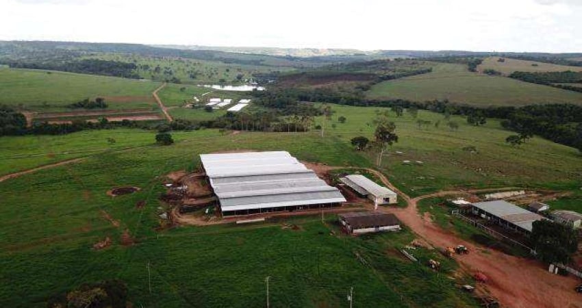 Fazenda à venda, Area rural de sao miguel do passo a quat - GOIANIA/GO