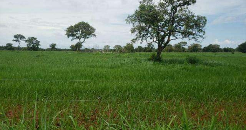 Fazenda à venda, Area Rural de Porangatu - Porangatu/GO