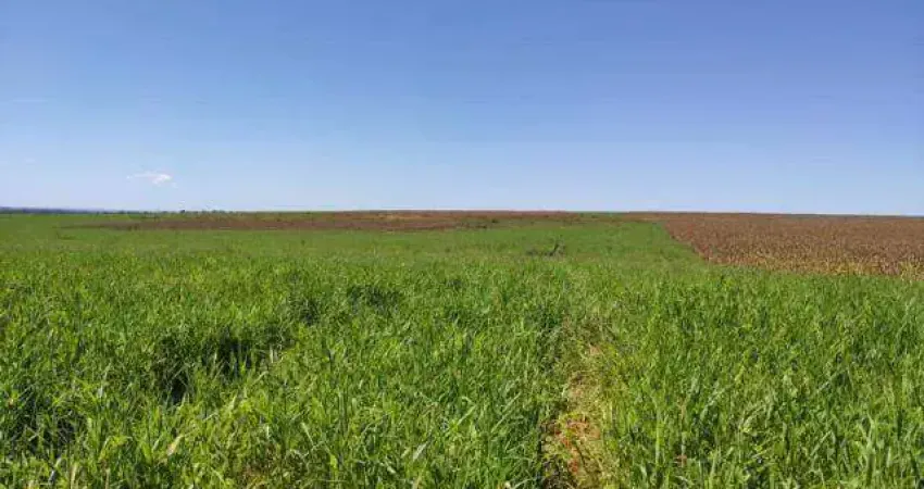 Chácara / sítio à venda na Rua Simeão Arraya, Centro, Barra do Garças