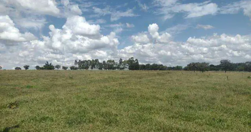 Fazenda à venda, ÁREA RURAL DE UBERLÂNDIA - Uberlândia/MG