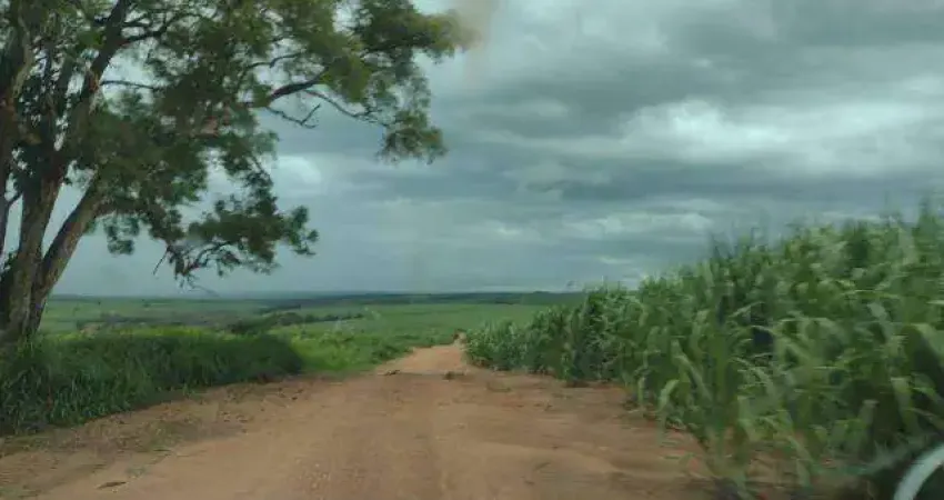 Fazenda à venda, ÁREA RURAL DE UBERLÂNDIA - Uberlândia/MG