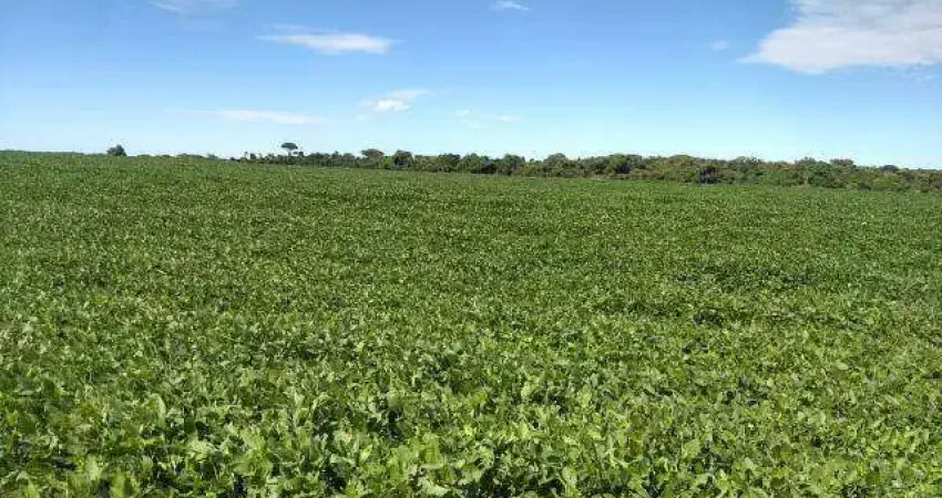 Fazenda à venda, ÁREA RURAL DE UBERLÂNDIA - Uberlândia/MG