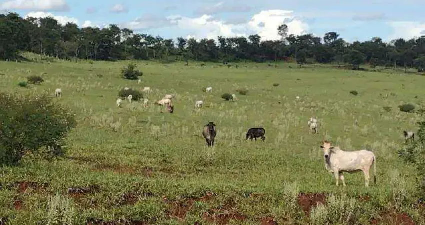 Fazenda à venda, ÁREA RURAL DE CRUZEIRO DOS PEIXOTOS - CRUZEIRO DOS PEIXOTOS/MG