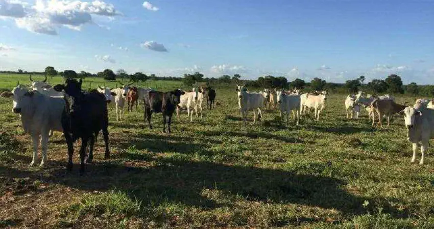 Fazenda à venda, AREA RURAL DE PARACATU - PARACATU/MG