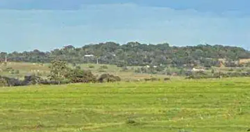 Fazenda à venda, Área Rural de Monte Alegre - MONTE ALEGRE DE MINAS/MG